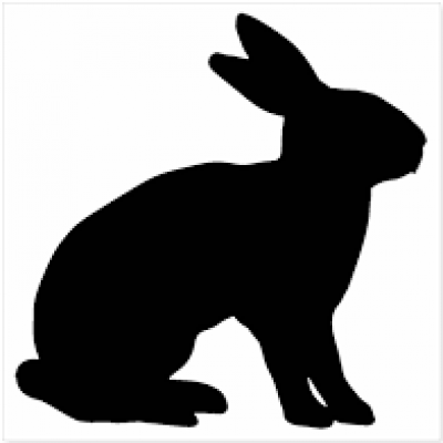 rabbit rabbit