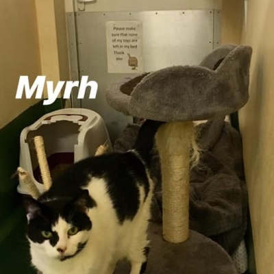 sfawmyrh sfawmyrh