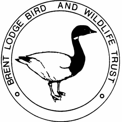 brentlodge-logo