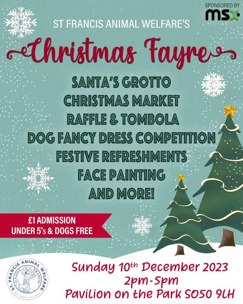 Charity Christmas Event | Pavillion on the Park, Eastleigh | December 10th