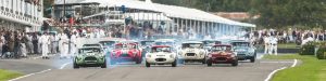 Cars racing at the Festival of Speed