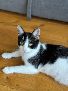 freda