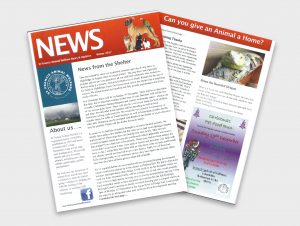 newsletters