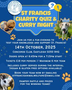 A poster that contains the same image as the post